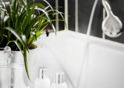 Professional Bathtub Renovations